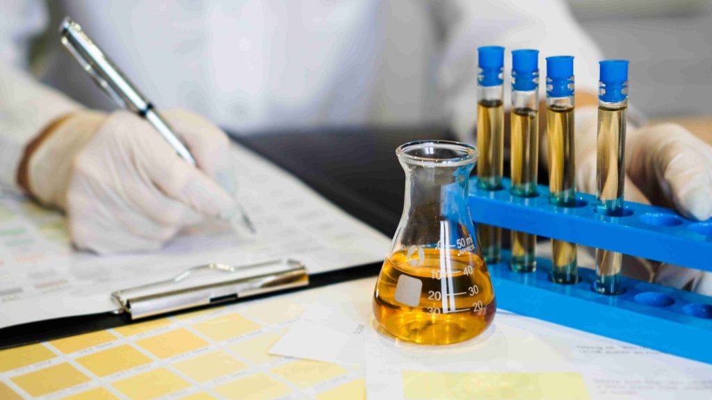 Interpretation of Results